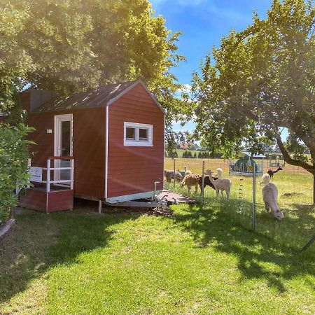 Tiny House Auf Der Alpaka Farm Villa Rubkow Eksteriør bilde